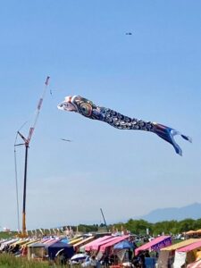 埼玉県加須市のジャンボ鯉のぼり