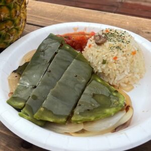 サボテンステーキ