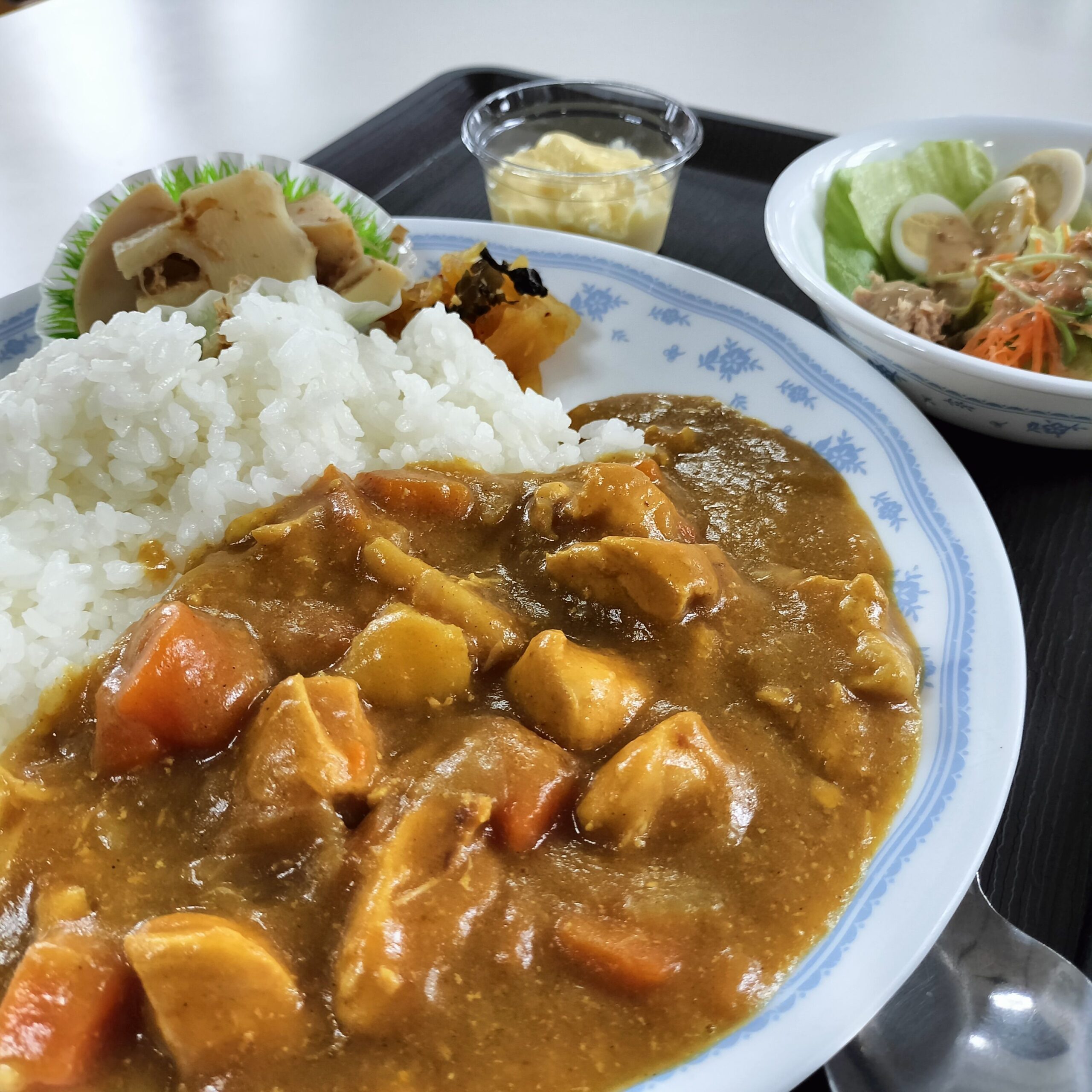 チキンカレー