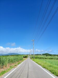 さとうきび畑