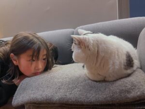 なまこちゃんと猫